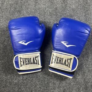 Everlast Ta:12 Boxing/Training Gloves Sparring/MMA -12 oz. Blue